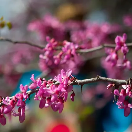 The Storage House Case de vacanță