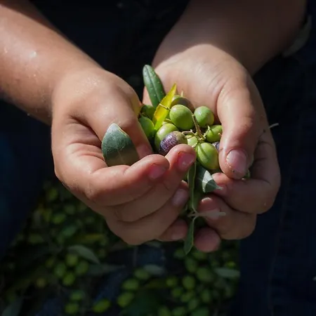 The Storage House Case de vacanță