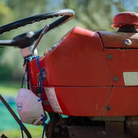 The Storage House Case de vacanță Danilia