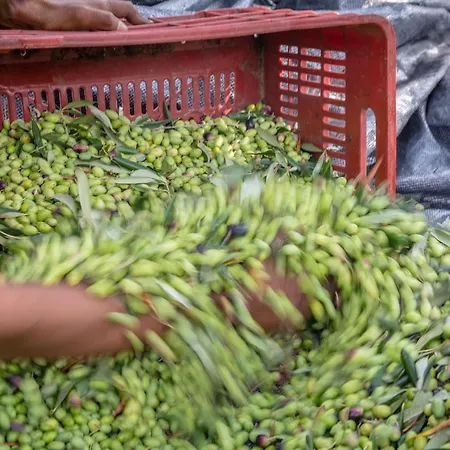 Case de vacanță The Storage House Danilia