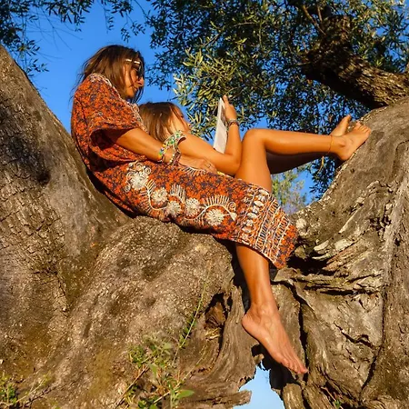 The Storage House Case de vacanță