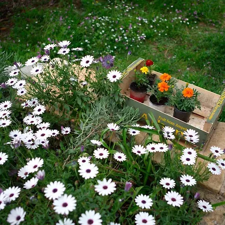 Case de vacanță The Storage House