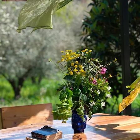 Case de vacanță The Storage House *