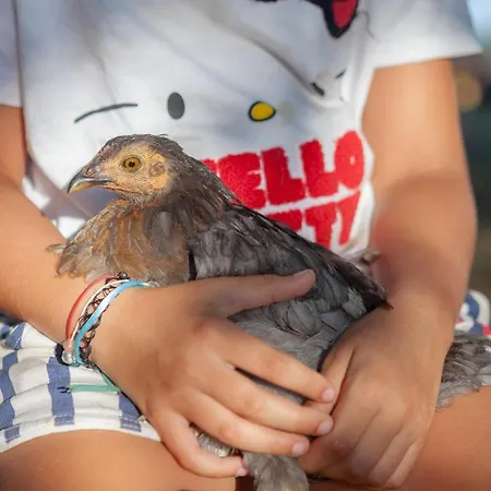 The Storage House Danilia