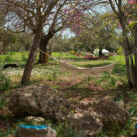 The Storage House Case de vacanță Danilia