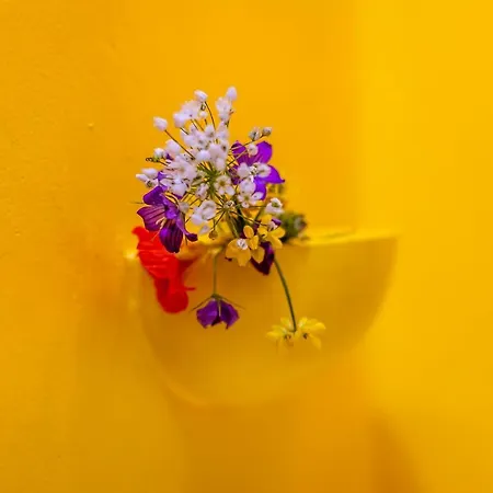 Case de vacanță The Storage House