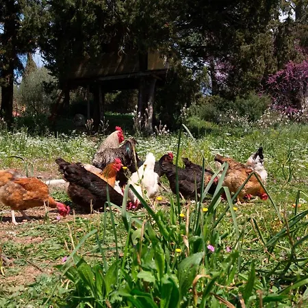 The Storage House Hébergement de vacances